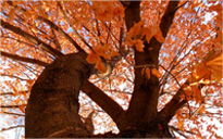 ddos攻击测试工具